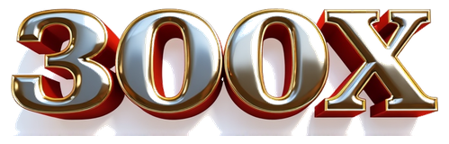 300x logo